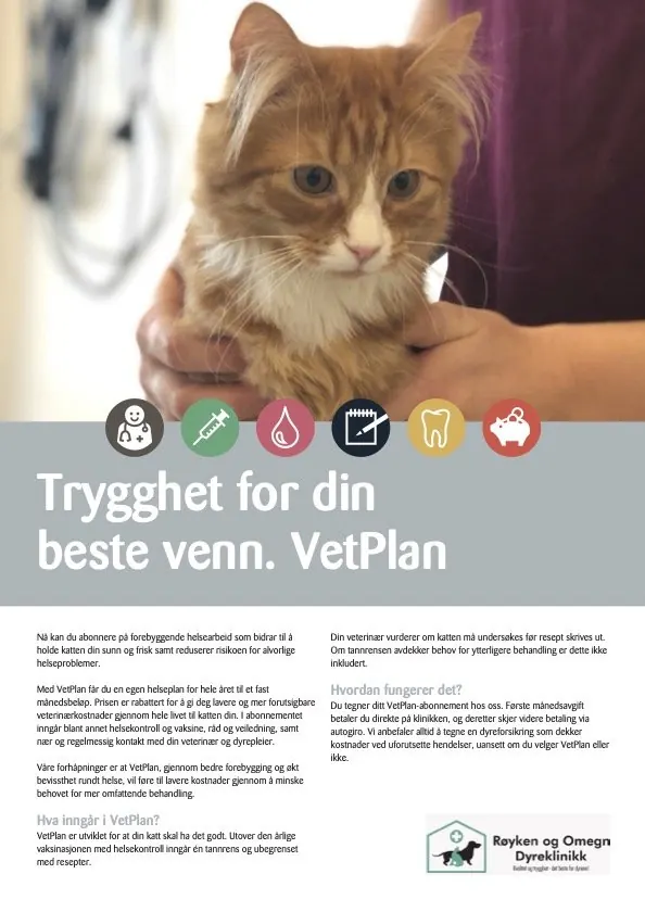 Tilbudsark VetPlan katt